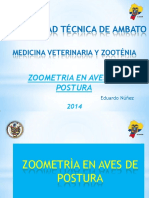 Zoometrica Aves