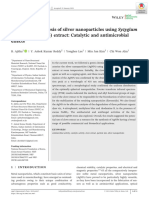 Biomimetic Synthesis of Silver Nanoparticles