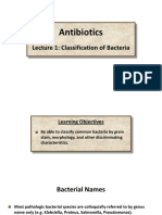 Antibiotics 1