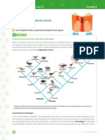 Ciencias Noveno PDF