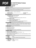 Mohamed Abd El Salam CV 2019 Companies