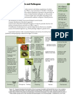 Beneficial Arthropods and Pathogens