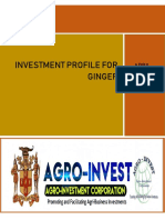 Ginger Investment Profile 2019