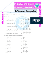 Ejercicios de Terminos Semejantes para Quinto de Primaria