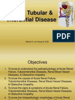 2 Renal Tubular, Interstitial Disease 2