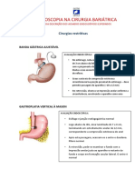 Endoscopia Na Cirurgia Bariátrica