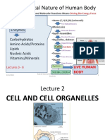 Biochemistry Lecture 2 Cell and Organelles