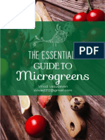 Microgreens: Guide To