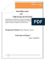 0 - 265454387 The Bank of Punjab Internship Report