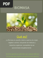 Bio Masa