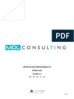 SAP Professional 2.0 (Prática2) - Mm-Pp-Sd-Fi-Co - v1.1