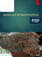 Muscles of Mastication