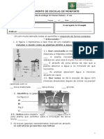 Ficha de Avalcn6 - Plantas