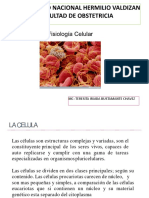 Fisiologia Celular