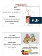 Esquemas Pancreas