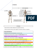 Alineación Columna