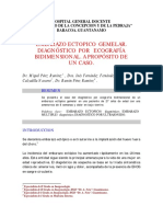 Embarazo Ectopico Gemelar. Diagnóstico Por Ecografía Bidimensional. A Propósito de Un Caso