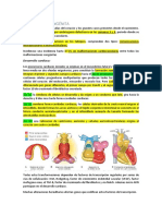 Cardiopatía Congénita