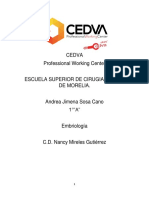 Cedva 3