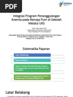 Integrasi Program Penanggulangan Anemia Rematri - Dit Promkes