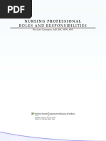 Nursing Professional Responsibilities