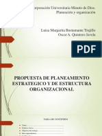 Propuesta de Planeamiento Estrategico y de Estructura Organizacional - Docx Presentacion