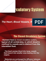 The Circulatory System: The Heart, Blood Vessels, Blood Types