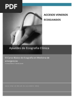 Accesos Venosos Ecoguiados