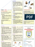 Triptico Vertebrados e Invertebrados