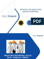 Induccion Hse Mision Temporal