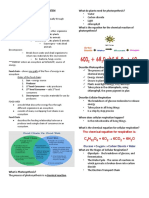 FLOW OF ENERGY and MATTER in ECOSYSTEM PDF