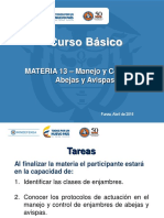 Materia 13 Av - Manejo y Control de Abejas y Avispas