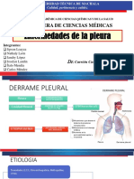 Enfermedades de La Pleura