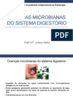 Doenças Microbianas Do Sistema Digestório