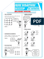 Habilidad Visual RM