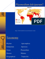 What Is Plasmodium Falciparum?: Protozoa Malaria