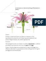 Flower Anatomy 1