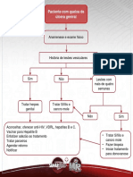Fluxograma Ulceragenital