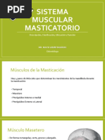 Musculos de La Masticacion