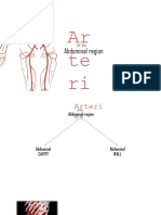 Ar Te Ri Es: Abdominal Region