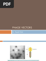 Phage Vectors: Dr. Rajesh Patel