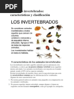 Animales Invertebrados