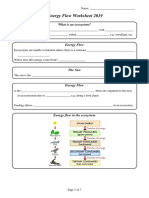 Energy Flow Worksheet 2019: What Is An Ecosystem?