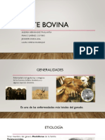 Peste Bovina