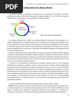 TP2 Mitosis y Meiosis 2017 PDF