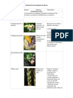 Clasificación de Los Patógenos de Las Plantas.