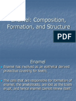 03 Amelogenesis - English