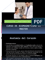 Curso de Biomagnetismo II Modulo No. 4