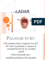 Paladar