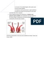 Laserasi Perineum